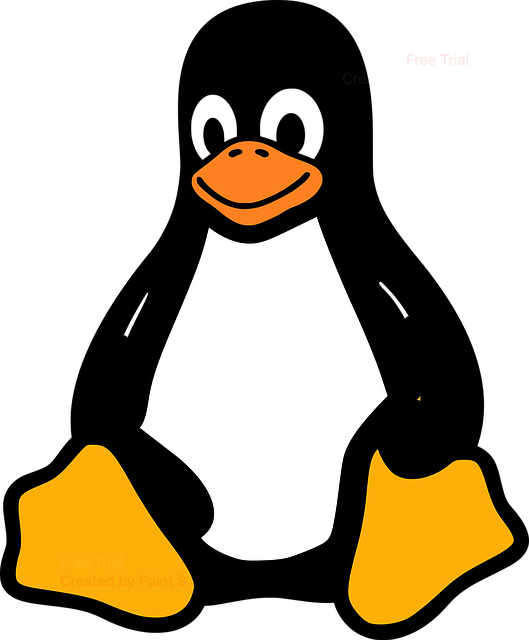 Linux Process Management