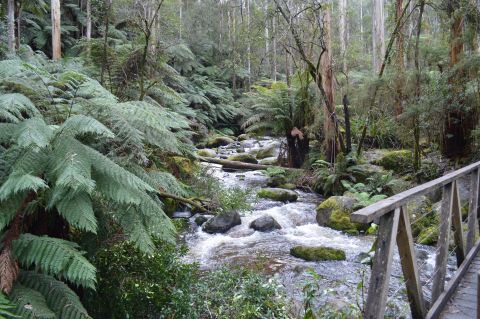 Melbourne
