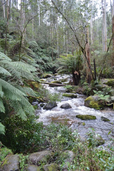 Melbourne